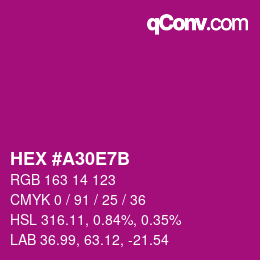 Color code: HEX #A30E7B | qconv.com