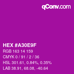 Color code: HEX #A30E9F | qconv.com