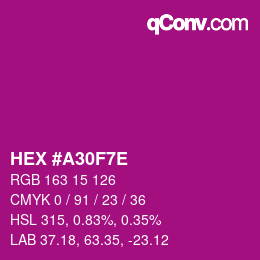 Color code: HEX #A30F7E | qconv.com