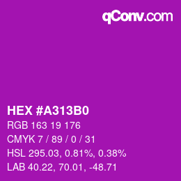 カラーコード: HEX #A313B0 | qconv.com
