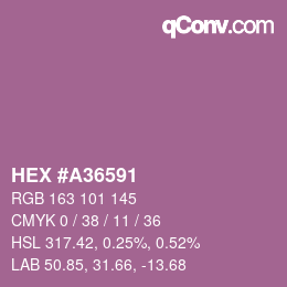 カラーコード: HEX #A36591 | qconv.com