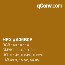 Color code: HEX #A36B0E | qconv.com