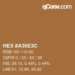 Color code: HEX #A36E3C | qconv.com