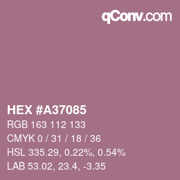 カラーコード: HEX #A37085 | qconv.com