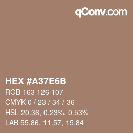 Color code: HEX #A37E6B | qconv.com