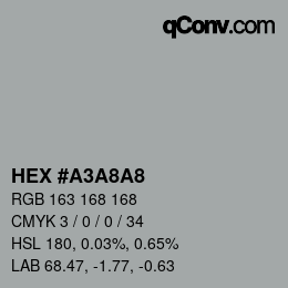 Farbcode: HEX #A3A8A8 | qconv.com