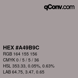 Color code: HEX #A49B9C | qconv.com