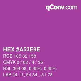 Color code: HEX #A53E9E | qconv.com
