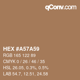 Color code: HEX #A57A59 | qconv.com
