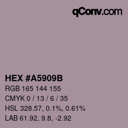 Color code: HEX #A5909B | qconv.com