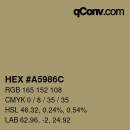Color code: HEX #A5986C | qconv.com
