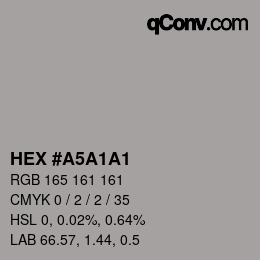 Color code: HEX #A5A1A1 | qconv.com