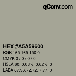 Color code: HEX #A5A59600 | qconv.com