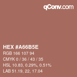 Color code: HEX #A66B5E | qconv.com