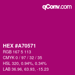 Color code: HEX #A70571 | qconv.com