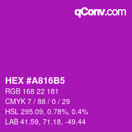 Color code: HEX #A816B5 | qconv.com
