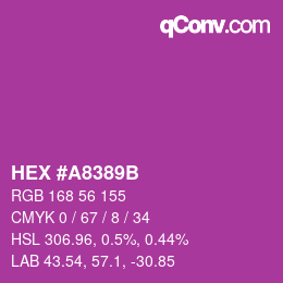 Color code: HEX #A8389B | qconv.com