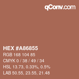 Color code: HEX #A86855 | qconv.com