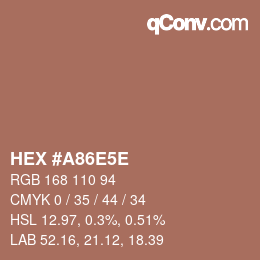 Color code: HEX #A86E5E | qconv.com