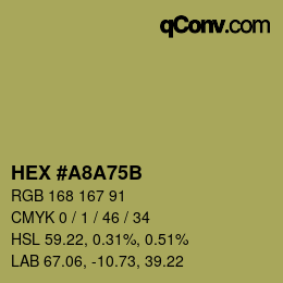 Color code: HEX #A8A75B | qconv.com