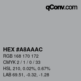 Color code: HEX #A8AAAC | qconv.com