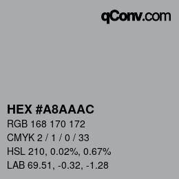 Color code: HEX #A8AAAC | qconv.com