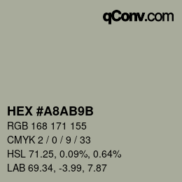 Color code: HEX #A8AB9B | qconv.com
