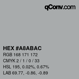 Color code: HEX #A8ABAC | qconv.com