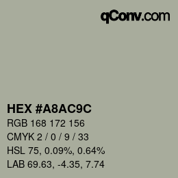 Color code: HEX #A8AC9C | qconv.com