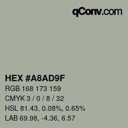 Color code: HEX #A8AD9F | qconv.com