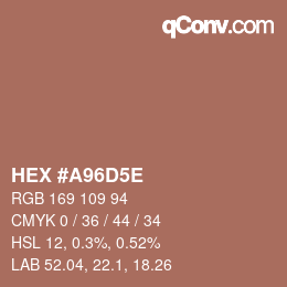 Color code: HEX #A96D5E | qconv.com
