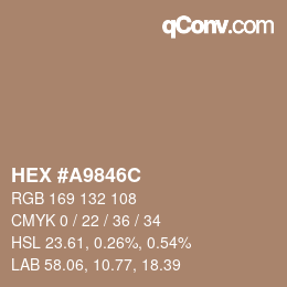 颜色代码: HEX #A9846C | qconv.com