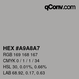 Color code: HEX #A9A8A7 | qconv.com