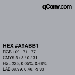 Color code: HEX #A9ABB1 | qconv.com