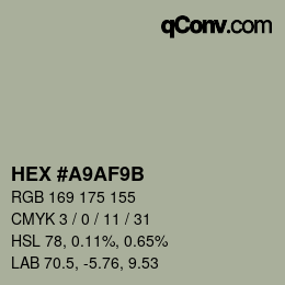 Color code: HEX #A9AF9B | qconv.com