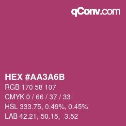 Color code: HEX #AA3A6B | qconv.com