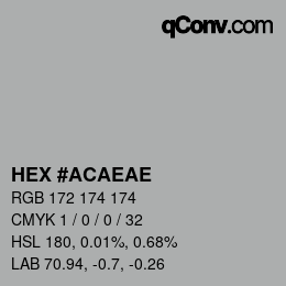 Color code: HEX #ACAEAE | qconv.com