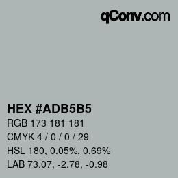 Color code: HEX #ADB5B5 | qconv.com