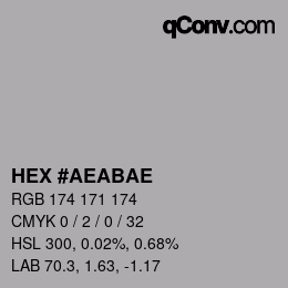Color code: HEX #AEABAE | qconv.com