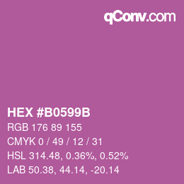 Color code: HEX #B0599B | qconv.com