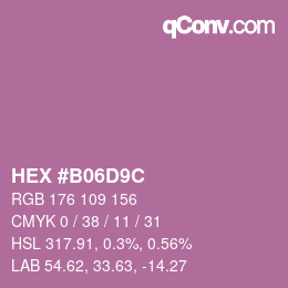 Color code: HEX #B06D9C | qconv.com