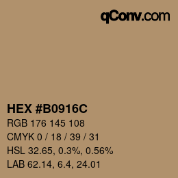 カラーコード: HEX #B0916C | qconv.com