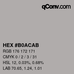 Color code: HEX #B0ACAB | qconv.com