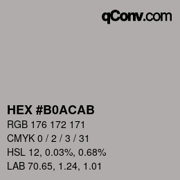 Color code: HEX #B0ACAB | qconv.com