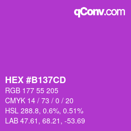 Color code: HEX #B137CD | qconv.com