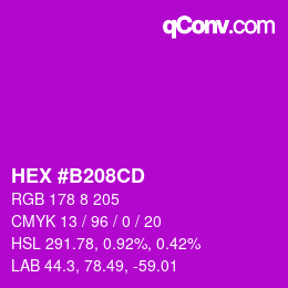 Color code: HEX #B208CD | qconv.com