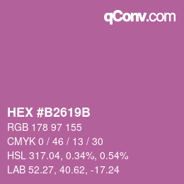 Color code: HEX #B2619B | qconv.com