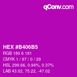 Color code: HEX #B406B5 | qconv.com