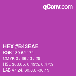Color code: HEX #B43EAE | qconv.com