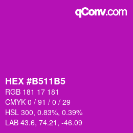 カラーコード: HEX #B511B5 | qconv.com
